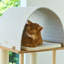  Arbre à chat 49,5 po