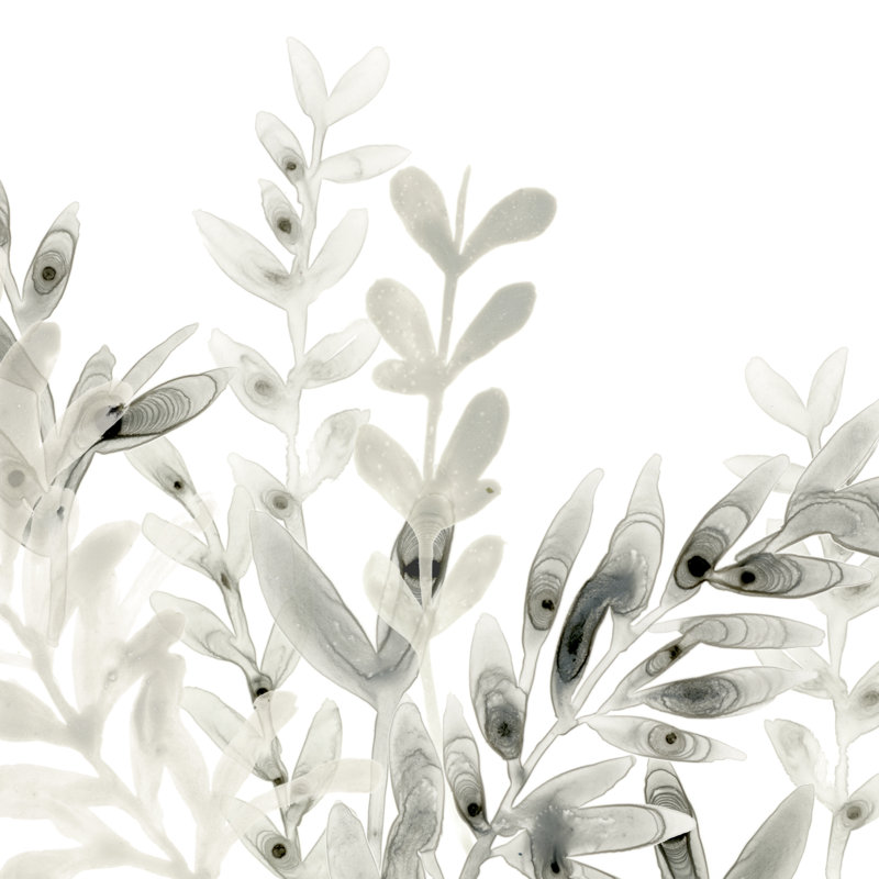 «Watangle Foliage I» par June Erica Vess, reproduction d'art sur toile tendue, H 36 po x l 36 po