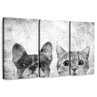 Brampt animaux de compagnie noir et blanc
