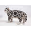 Statue de chat American Shorthair debout