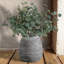 Vase en terre cuite rustique en terre cuite Farmhouse