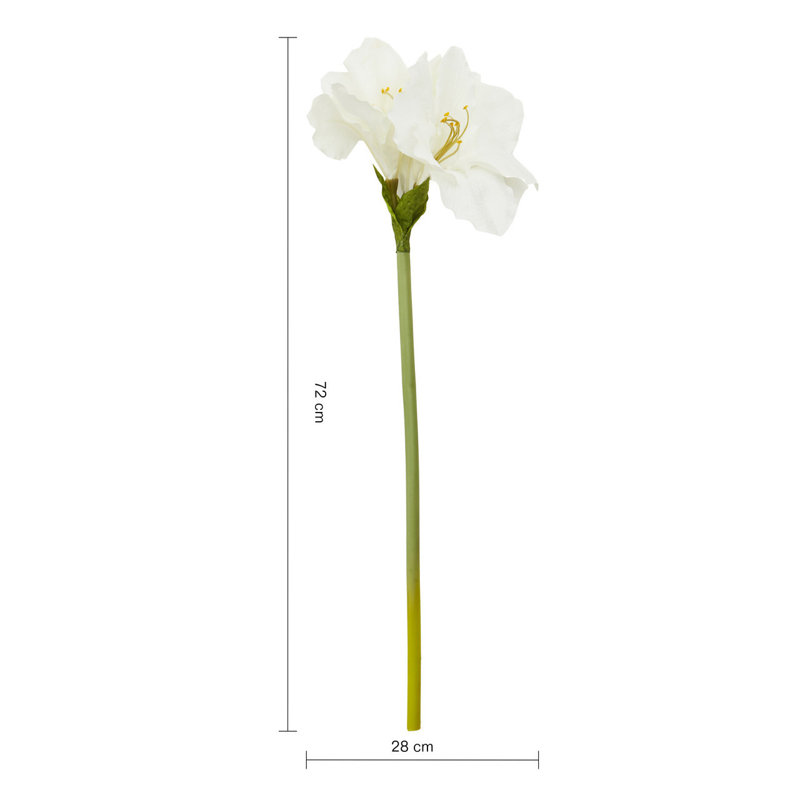 Fiori Amaryllis Arrangement