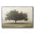 Silver Framed Canvas