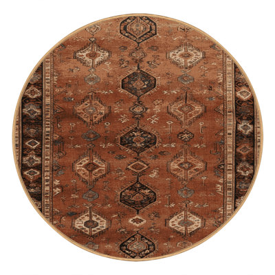 Machine Washable Persian Brown Area Rug