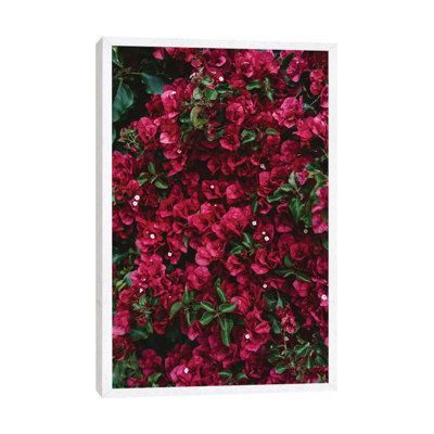 Carmel Blooms 1 Piece Wall Art on Canvas