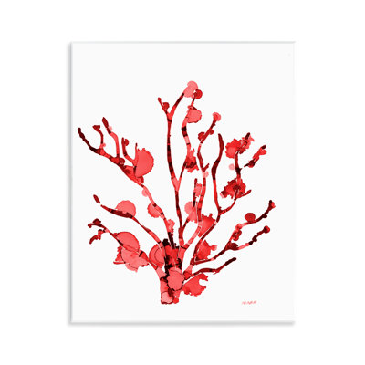  Coral With Splashes Wall Plaque Art by Patti Mann