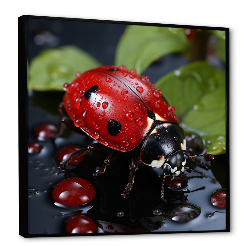 «Lactive Ladybug Reflections II», reproduction sur toile, H 24 po x l 24 po x P 1 po, Cadre flottant noir