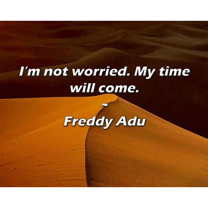 Citation de Freddy Adu: Je ne suis pas inquiet. Mon heure viendra.
