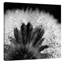 « sensitive perles », reproduction de photo sur toile tendue-31386201