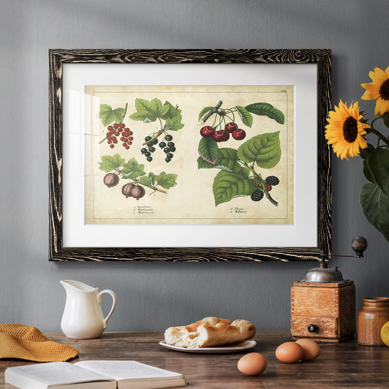 " Kitchen Fruits III ", Black, 14" H x 20" W x 1.5" D