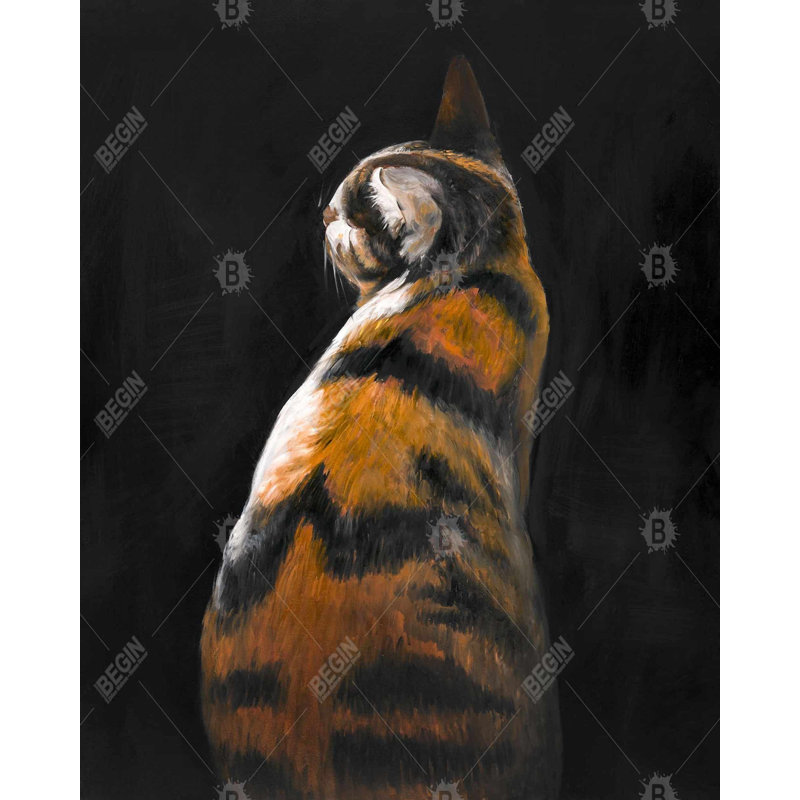Spotted Cat Print On Canvas