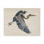 « blue héron rendering iv », reproduction sur toile tendue-494703749