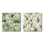 Mallie - Ensemble de 2 collages carrés botaniques abstraits-101862179-101862176