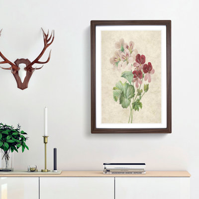 Cranesbill Flowers by Pierre-Joseph Redoute - Picture Frame Painting Print