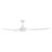 Hinkley Talon LED Ceiling Fan-101221389-101221390