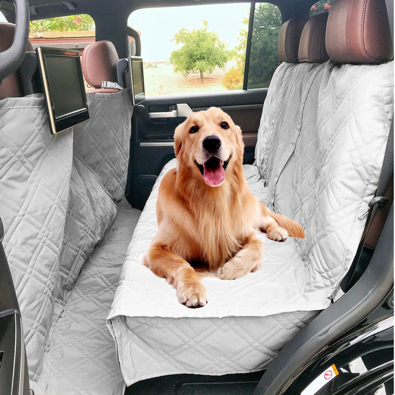 Holtman Pet, Gray