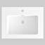 Évier à fixation murale l 24 po x P 18 po avec trop-plein et trou de robinet simple-112964836