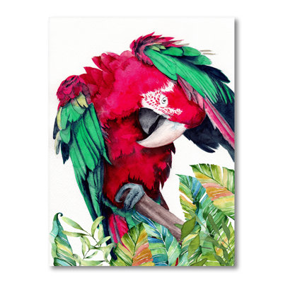 Perroquet rouge et vert - reproduction sur toile