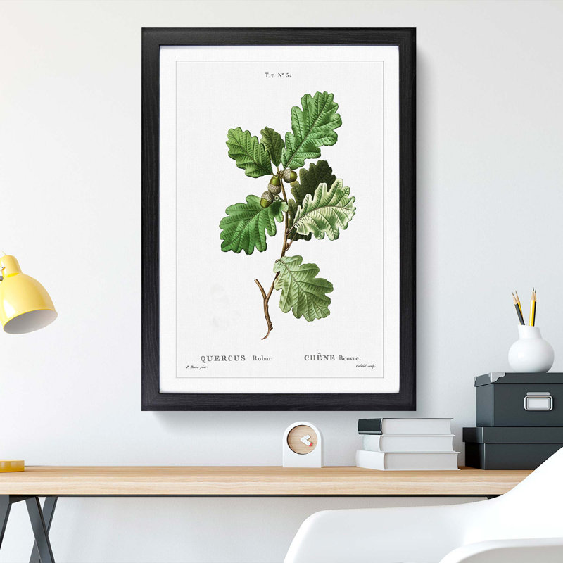 Oak Tree by Pierre-Joseph Redoute - Picture Frame Painting Print, 48cm H x 36cm W x 2cm D, Black Framed