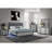 GREY BLACK NS-961689895
