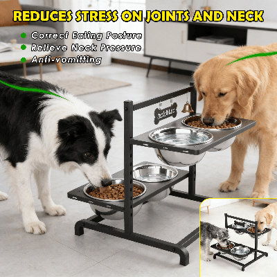 Adjustable 4-Bowl Elevated Pet Feeder with Slow-Feed Bowl,4.9"-14.5" Height Range Dog Bowl Stand for Multi-Pet Homes