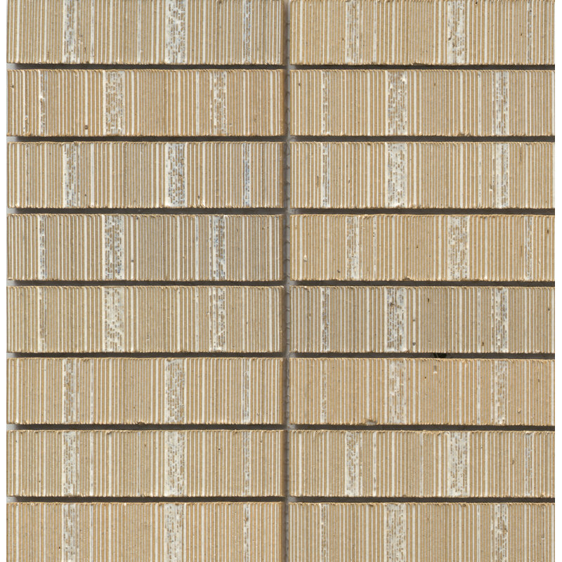Newtro 12 x 12 Ceramic Decorative Accent Tile, Ivory