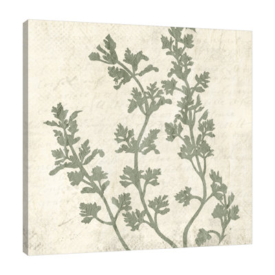" Sage 1 " by Kimberly Allen