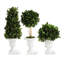 Faux Boxwood Plant in Terracotta Vase-742840911