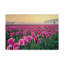 «Skagit Valley Tulips I» par Alan Majchrowicz - reproduction de photo sur toile-799612772