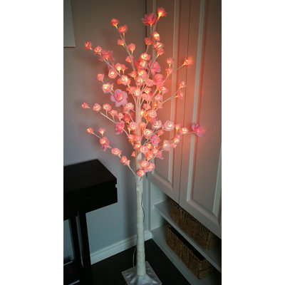 Plante à fleurs