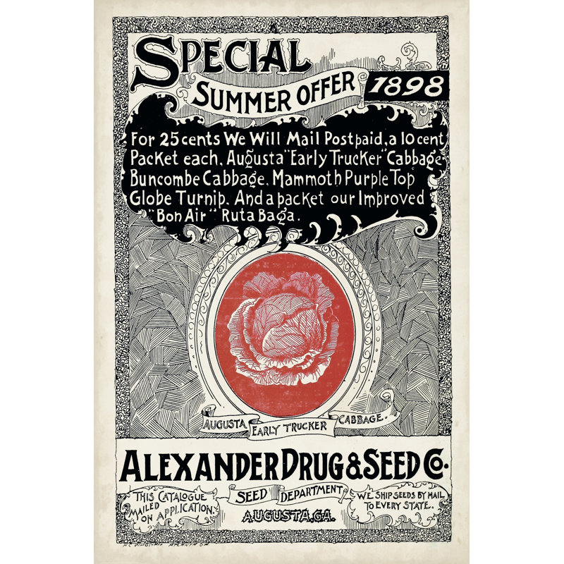 Antique Seed Packets XIII - Wrapped Canvas Print, 76cm H x 51cm W