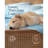 REST Evercool Award-Winning Cooling Comforter – Ultra Soft, Breathable, Lightweight, Hypoallergenic, All-Season Comforter for Hot Sleepers, Machine Washable-103184646-103184641