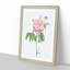 A Provins Rose In Pink by Pierre-Joseph Redoute - Single Picture Frame Painting-55450863-55450860