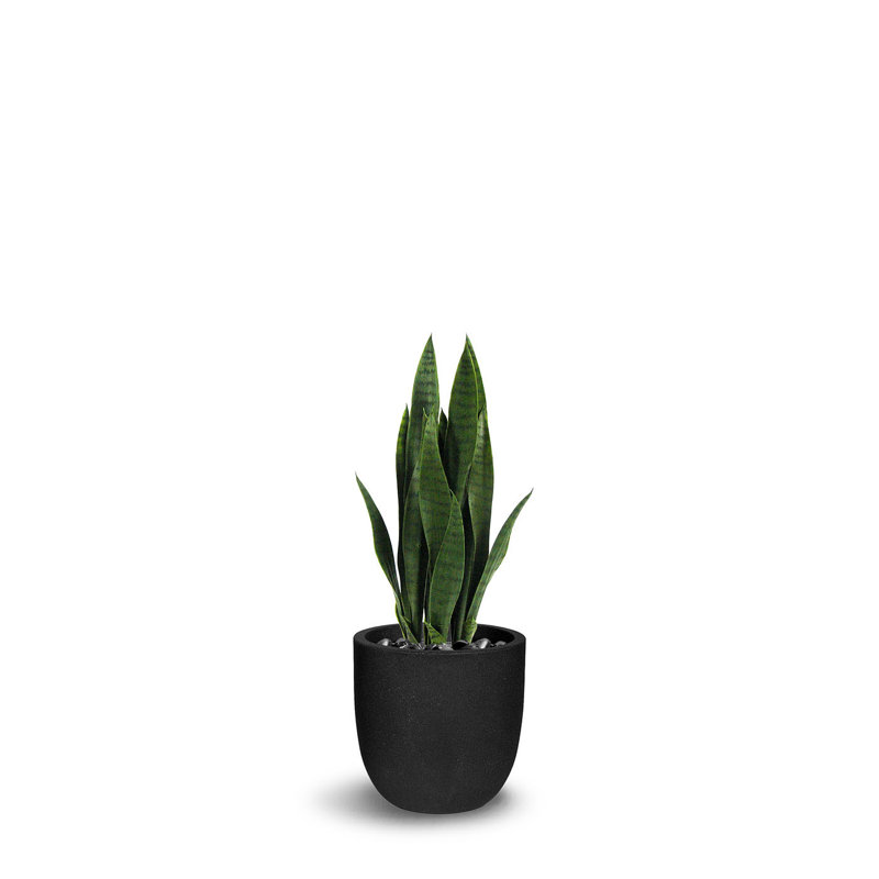 Snake artificiel en pot, H 28 po x l 8 po x p 12 po, Vert