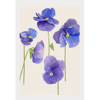 Art Print:  Violet Pansies on Ecru