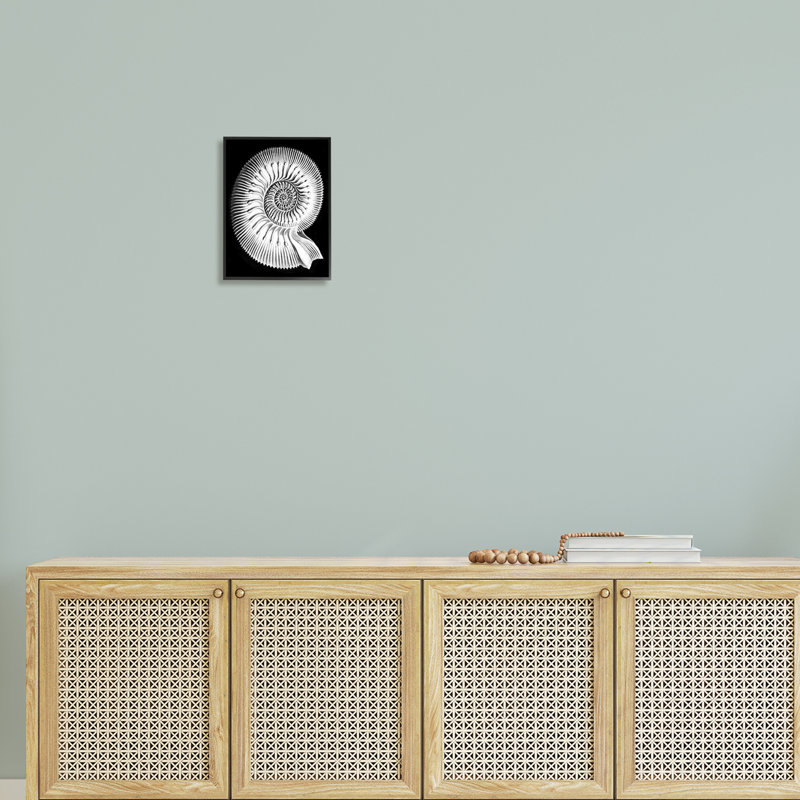 Spiral Sea Life Beach, H 14 po x l 11 po x P 1,5 po, Giclée encadrée noir minuit