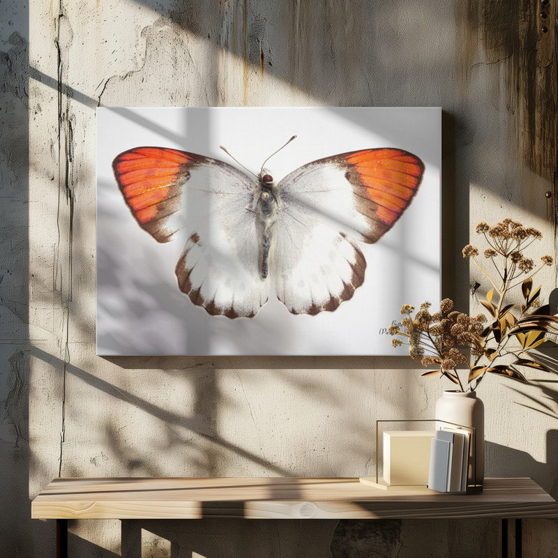 Wrapped Canvas Print, 50.8 cm H x 76.2 cm W