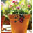 Pot Hugger Set/3 - Ladybug