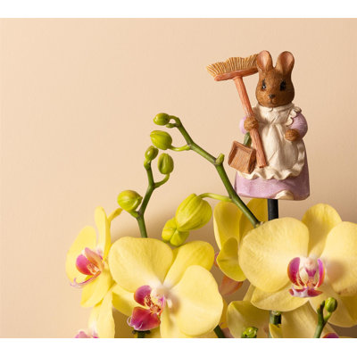 Arno UV Resistant Garden Statue