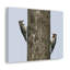 «Yellow Belly Sapsucker Couple», impression d'art mural-1641284755