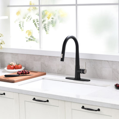 Robinet de cuisine noir à poignée simple avec douchette extractible, style contemporain, remplissage en céramique, matériau laiton, option de plaque de pont, contemporain, laiton
