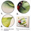 «Ladybug On A Leaf», reproduction sur toile 3 pièces-87930575-87930570