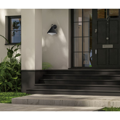 Odette Steel Wall Light