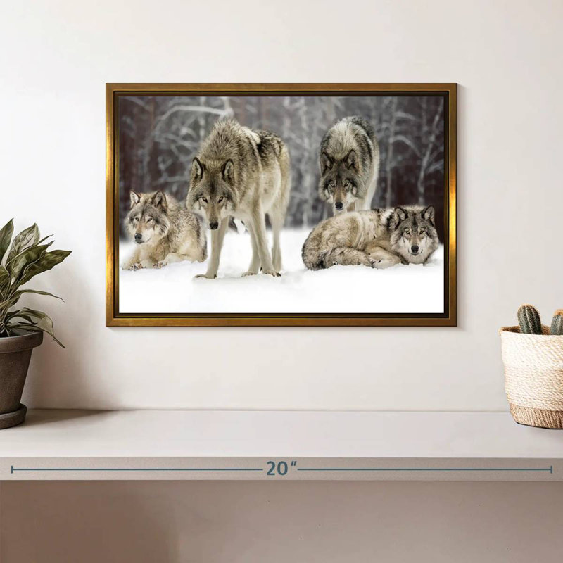 Loup, Cadre flottant doré, 13 po x 9 po