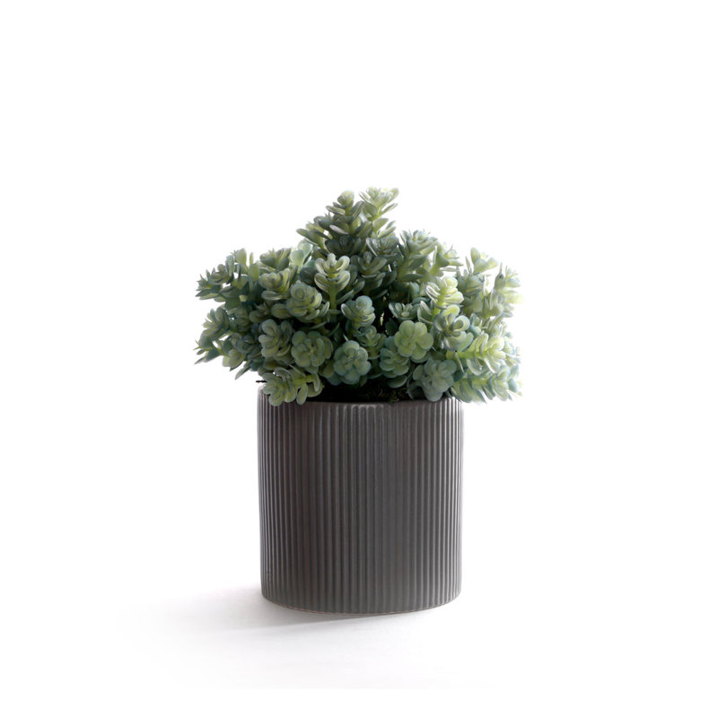 Faux Succulent Plant in Ceramic Planter