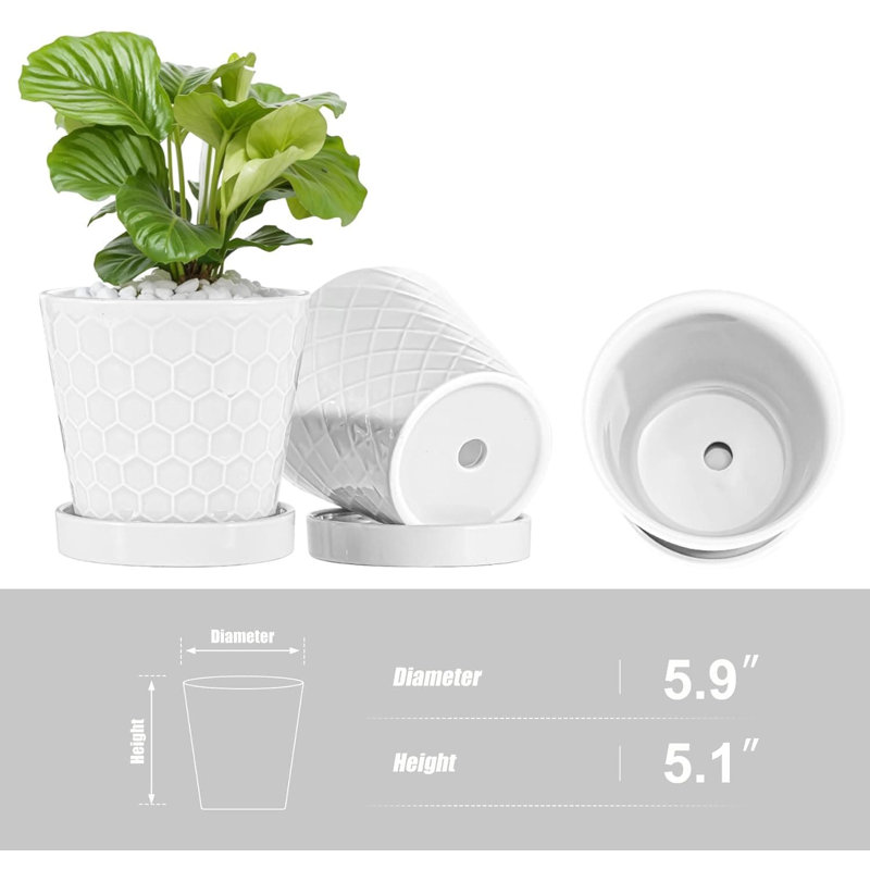 Ceramic Pot Planter