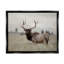 "Tranquil Elk Deer Grazing", "Farmland Field" par Danita Delimont - photographie sur toile tendue-75450634-75450633