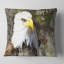 Tête d'aigle avec textures - oreiller imprimé animal-29828330-29854948