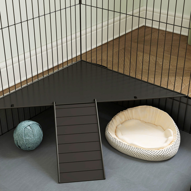 Guinea Pig Cage