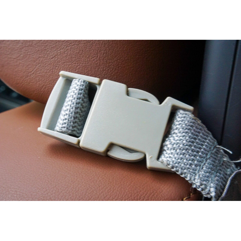 Holtman Pet, Gray
